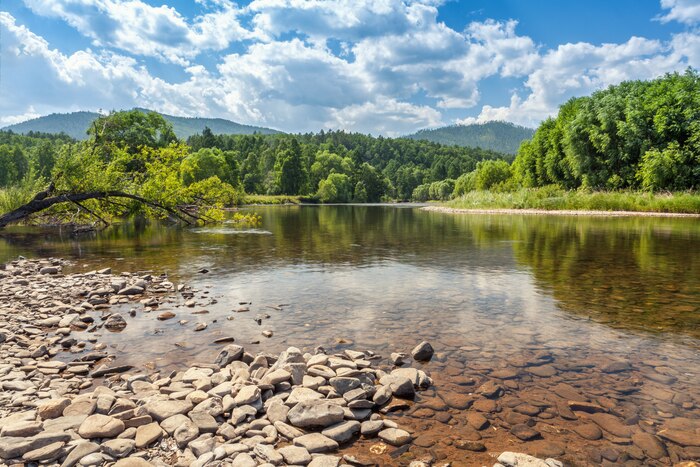 Summer nature landscape with river, hills and forest. sunny warm day